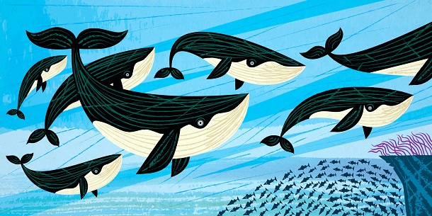 Дружба «акул» та «китів»: як ГО співпрацювати зі ЗМІ