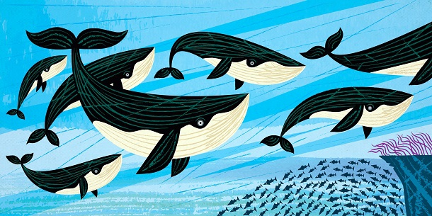 Дружба «акул» та «китів»: як ГО співпрацювати зі ЗМІ